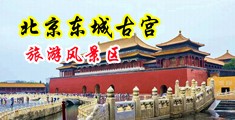 桃色五月天中国北京-东城古宫旅游风景区